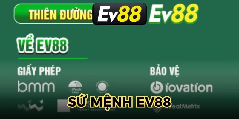 chia-se-ve-su-menh-ma-san-choi-quoc-te-huong-den